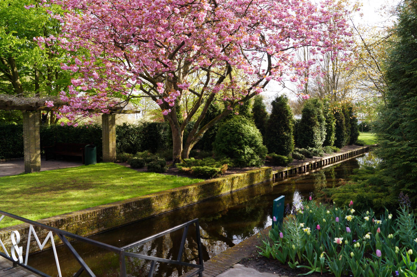 Keukenhof park experience