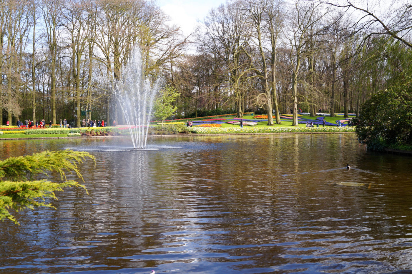 Keukenhof park experience